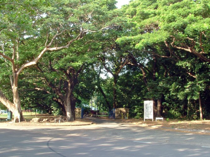 Karwarra Australian Plant Garden and Nursery, Australia